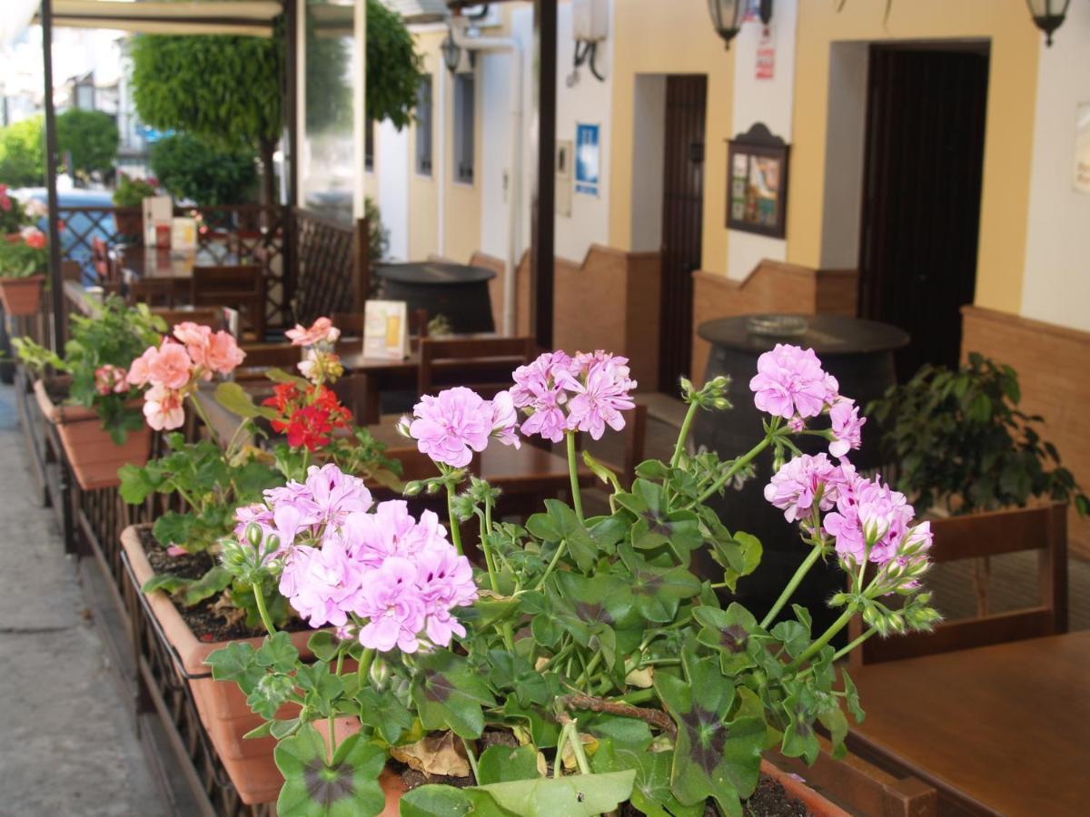 Hotel Caico'S Prado Del Rey Zewnętrze zdjęcie